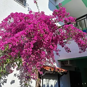 Aparthotel Tassos 2, Pefkochori