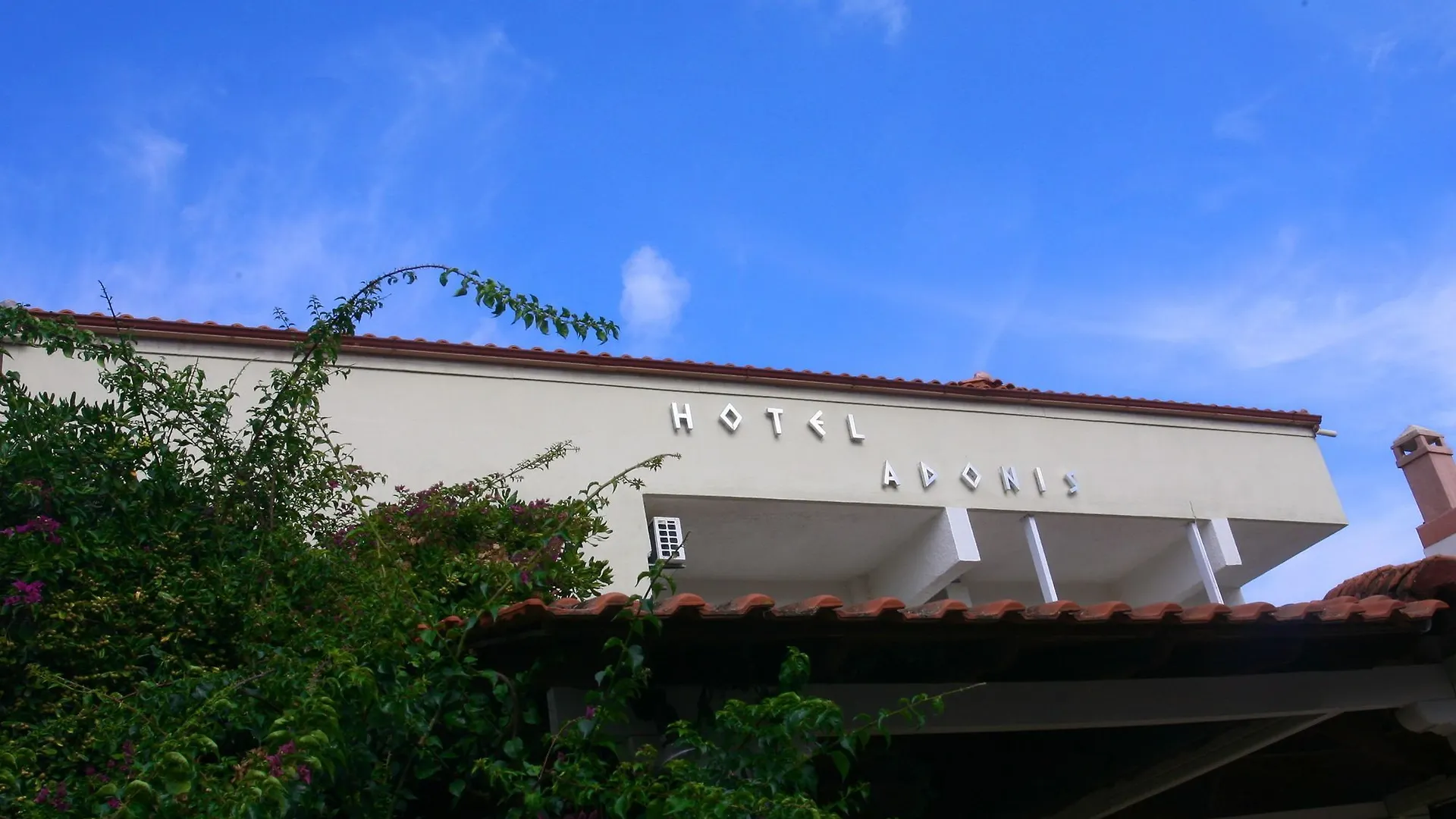 Adonis Hotel Pefkochori Aparthotel